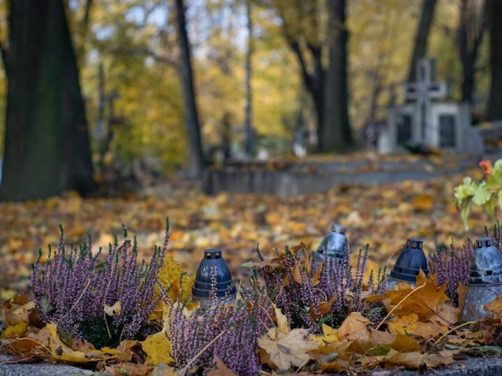 Sprzątanie zabytkowego cmentarza w Opolu – roczna inicjatywa zaangażowania społecznego