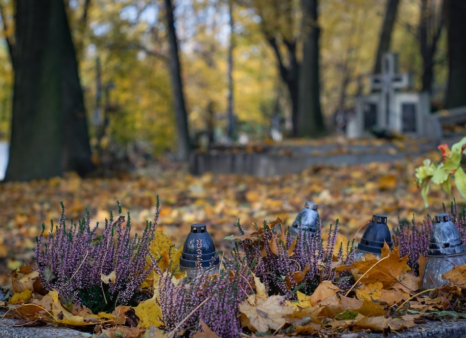 Sprzątanie zabytkowego cmentarza w Opolu – roczna inicjatywa zaangażowania społecznego
