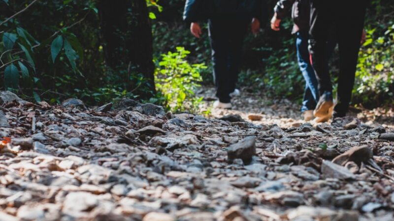 "Zabierz swoje serce na spacer" – akcja NFZ w Opolu dla zdrowia serca