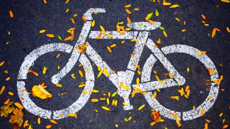 Kolejny odcinek ścieżki pieszo-rowerowej na Malinie w Opolu korzystnym dla amatorów aktywności fizycznej