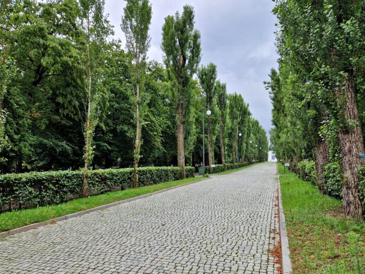Wszystkich Świętych coraz bliżej – jak pielęgnujemy pamięć o zmarłych?