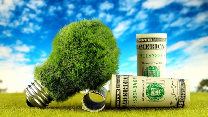 800 mln zł na zieloną rewolucję: Plany ECO na przyszłość