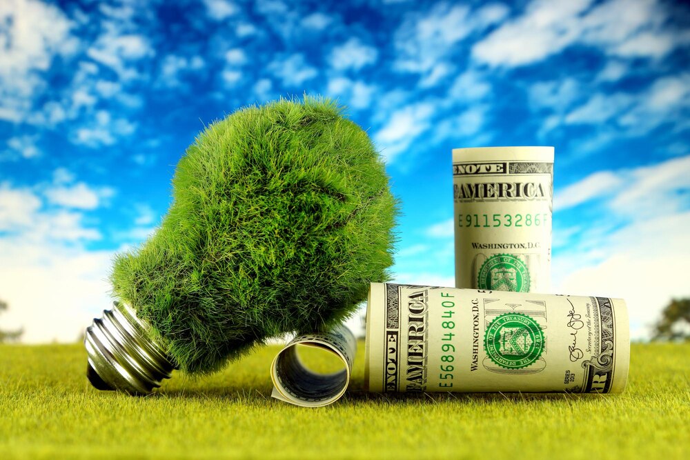 800 mln zł na zieloną rewolucję: Plany ECO na przyszłość