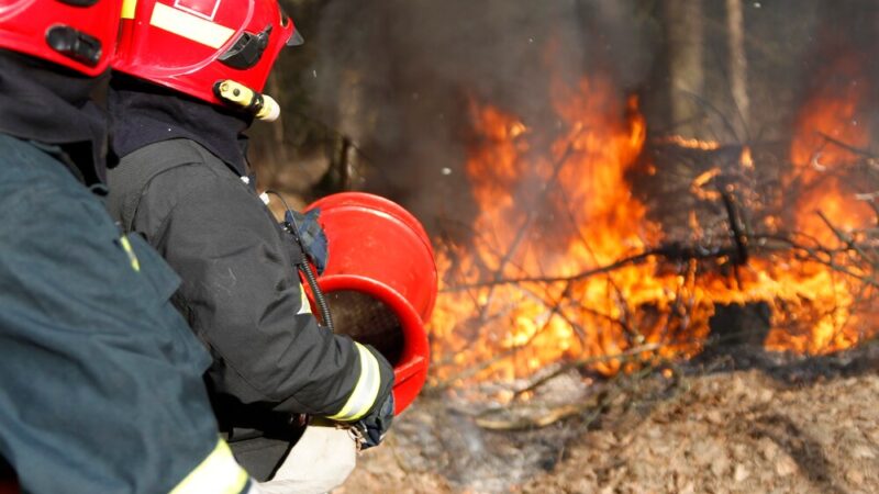 Pożar w Opolu: 11-latka w szpitalu po wybuchu maszynki do waty cukrowej