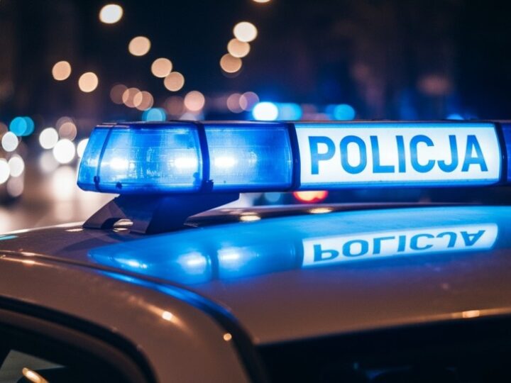 Złodziej elektronarzędzi w rękach policji, a pies tropiący odkrywa narkotyki!