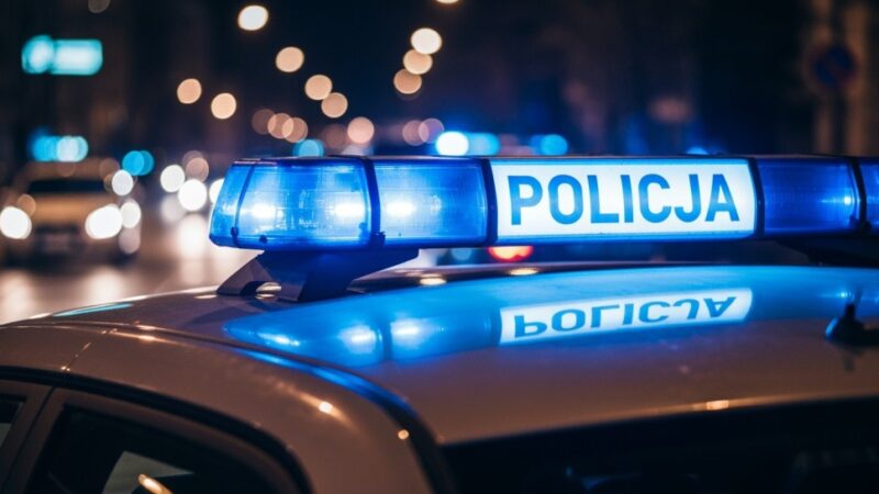 Złodziej elektronarzędzi w rękach policji, a pies tropiący odkrywa narkotyki!