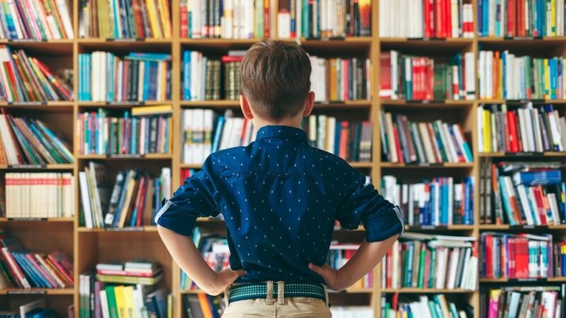 Inwestycja w edukację NGO: Kluczowe spotkanie w Opolu dla organizacji pozarządowych