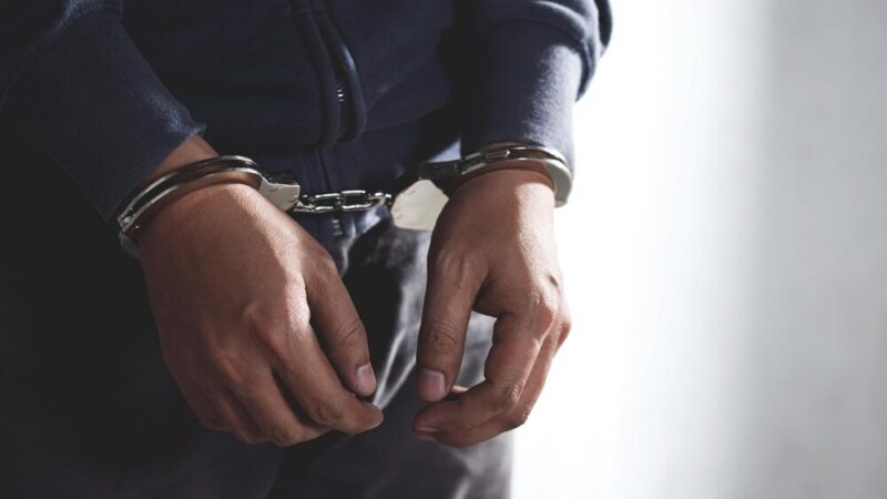 Policja w Opolu odkrywa tajniki kariery w służbie mundurowej na Targach Zawodowych