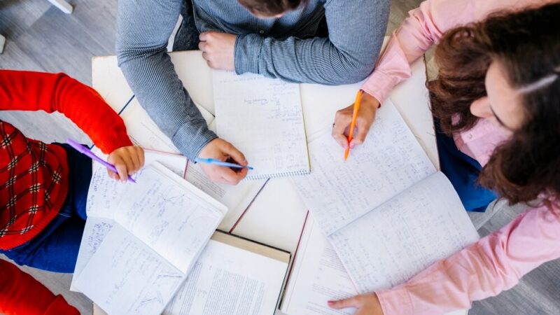 Violetta Szczyrk wyróżniona za niezwykły wkład w edukację w Powiecie Opolskim