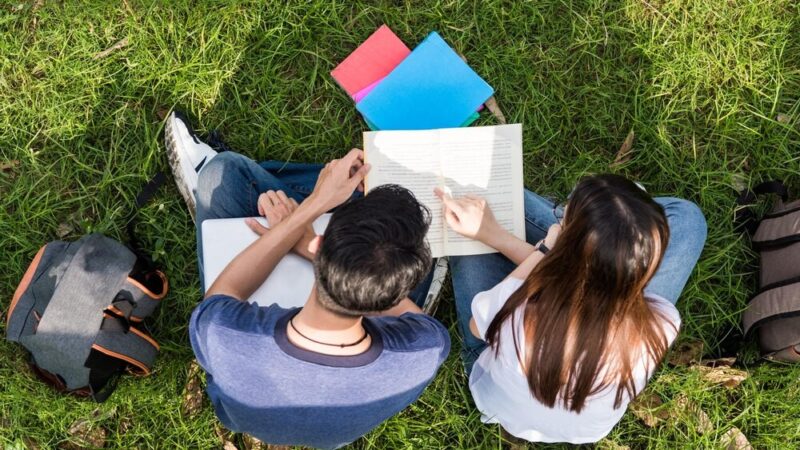 Opolski Powiat na szczycie edukacji: licea i technika osiągają znakomite wyniki!