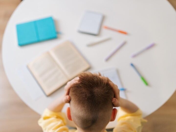 Pracownia pod chmurką” w Pomologii Prószków: Nowa edukacyjna przestrzeń łącząca naukę z naturą