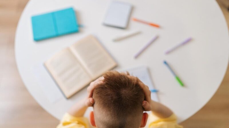 Pracownia pod chmurką” w Pomologii Prószków: Nowa edukacyjna przestrzeń łącząca naukę z naturą