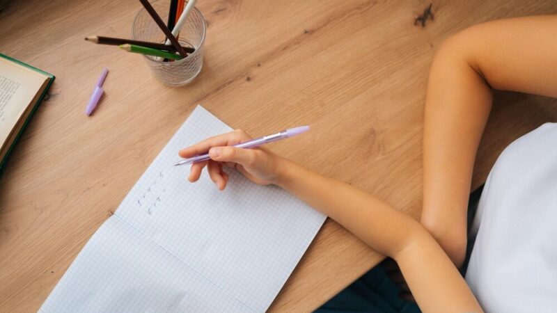 Nowy projekt PUP w Opolu: Aktywizacja zawodowa na 2026 rok