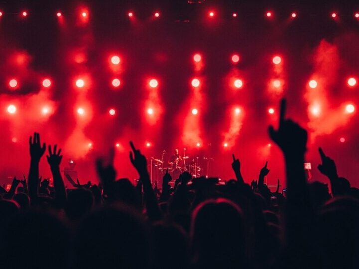 Opole odkrywa muzyczną trasę z rozśpiewanymi ptaszkami!