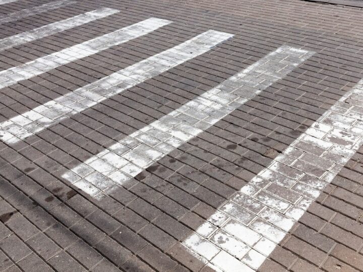 Sarna jako nietypowy pasażer w drodze do pracy