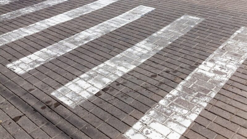 Sarna jako nietypowy pasażer w drodze do pracy