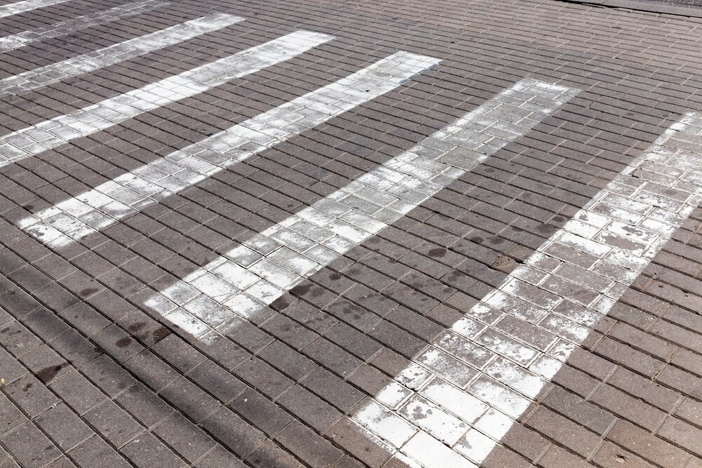 Sarna jako nietypowy pasażer w drodze do pracy