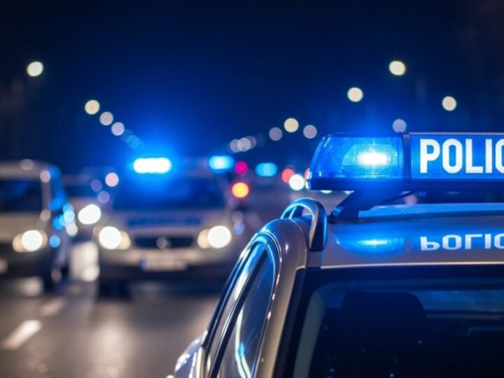 Nowe radiowozy dla opolskiej Policji: specjalistyczny transport psów służbowych