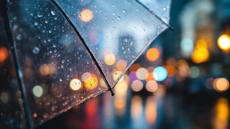 Przymrozki pierwszego stopnia w województwie opolskim