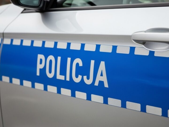 Oszustwa internetowe i „na legendę” wciąż dominują w przestępczości