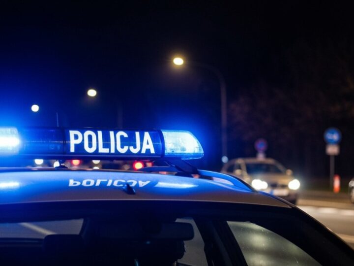 Zaginiona Viktoria Horbenko – Policja w Opolu prosi o pomoc