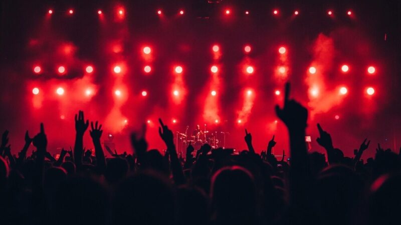 Tygryskowy Piknik Rodzinny – świętuj z nami radość i zabawę!