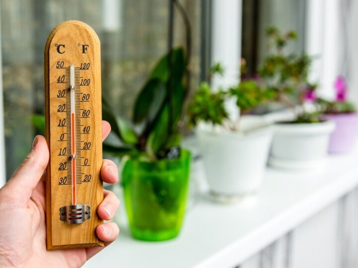 Najpiękniejsze widoki na upalne dni w Twoim mieście