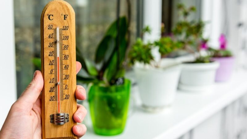 Najpiękniejsze widoki na upalne dni w Twoim mieście