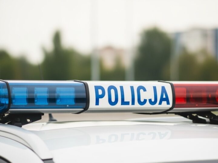 Bocian uratowany przez policjantów: błyskawiczna interwencja w Gminie Turawa