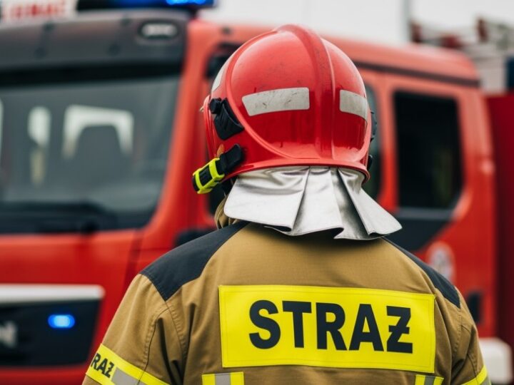 Polscy strażacy na pomoc Hiszpanii w walce z pożarami lasów