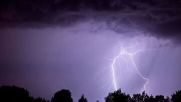 Mokre liście wydłużają hamowanie. Uwaga na drodze